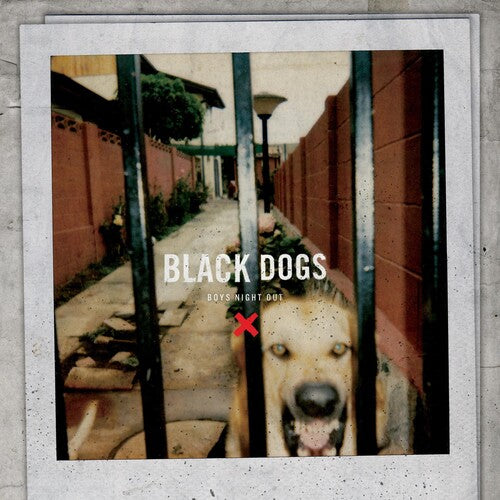 Boys Night Out Black Dogs - Record Album - Vinyl LP