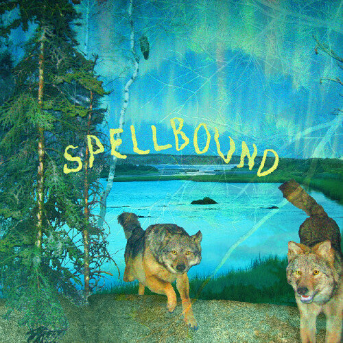 Boyscott Spellbound - Record Album - Vinyl LP