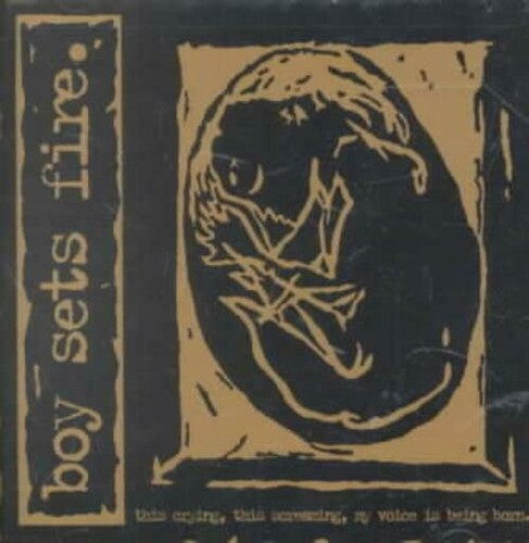 BoySetsFire This Crying This Screaming My Voice Is Being Born - Record Album - Vinyl LP