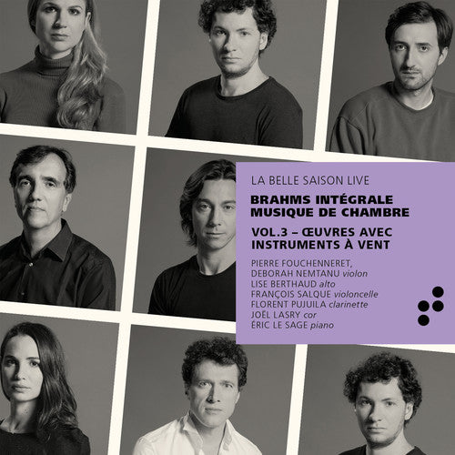 Brahms / Pujuila / Nemtanu Integrale Musique de Chambre 3 - 2-Disc CD Album