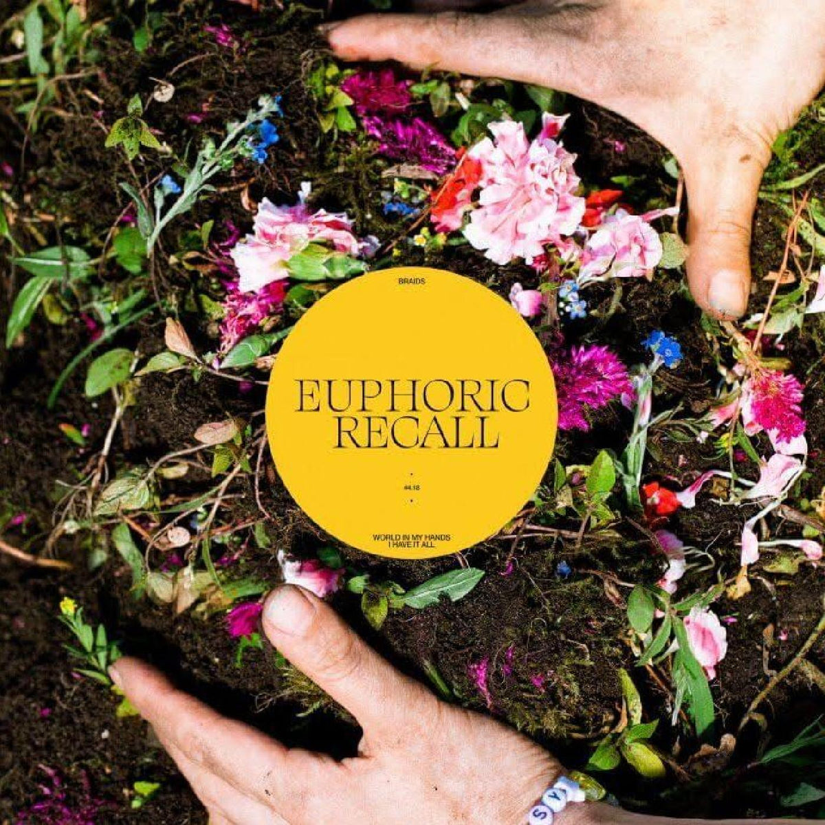 Braids Euphoric Recall