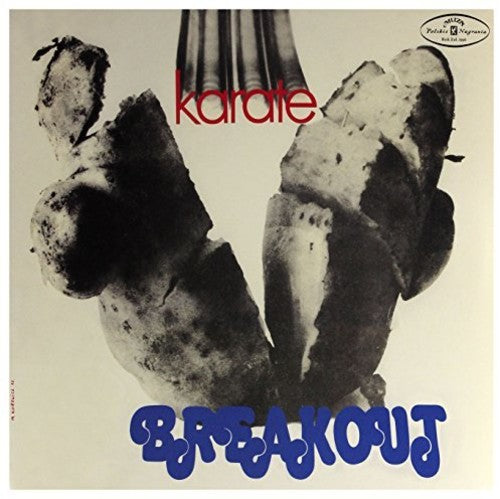Breakout Karate - Record Album - Vinyl LP