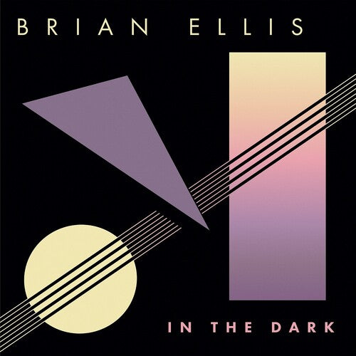 BRIAN ELLIS In The Dark - Record Album - Vinyl LP