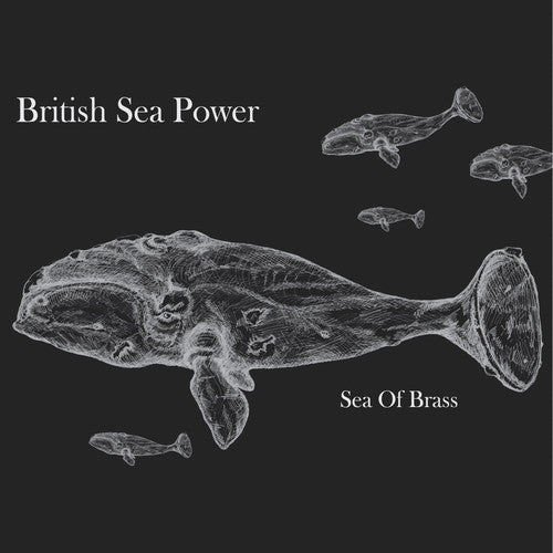 British Sea Power Sea of Brass - Double Record Album - Vinyl LP