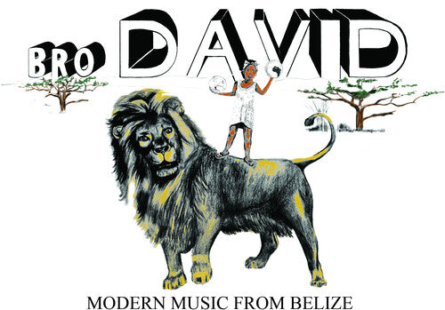 Bro David Modern Music from Belize - Record Album - Vinyl LP