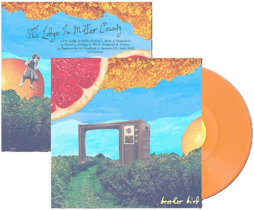Brother Bird The Lodge in Miller County - Record Album - Vinyl LP