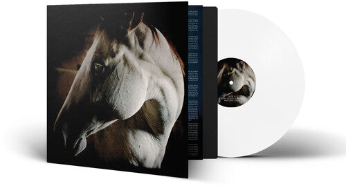 Brother Dege How To Kill A Horse - Record Album - Vinyl LP