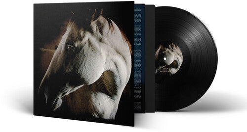 Brother Dege How To Kill A Horse - Record Album - Vinyl LP