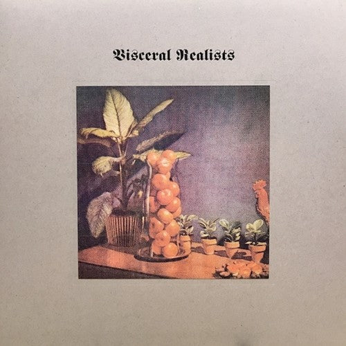 Bruce Russell & Luke Wood Visceral Realists - Record Album - Vinyl LP