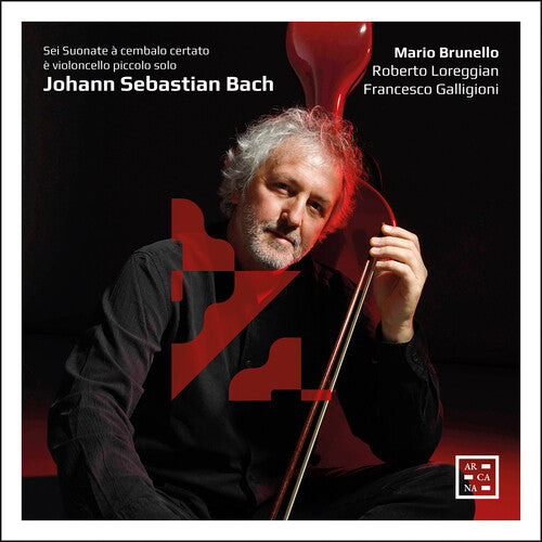 Brunello Loreggian Galligioni Sei Suonate a Cembalo Certato - 2-Disc CD Album