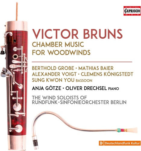Bruns / Baier Chamber Music for Woodwinds - 2-Disc CD Album