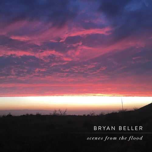 Bryan Beller Scenes From The Flood - Record Album - Vinyl LP