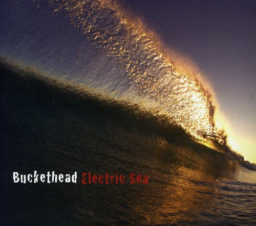 Buckethead Electric Sea