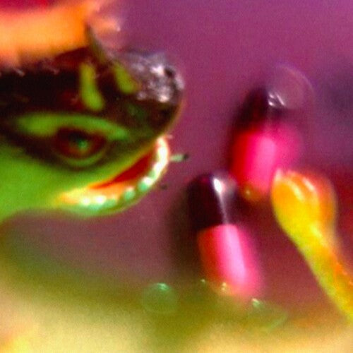 Bush Tetras Take The Fall - Record Album - Vinyl LP