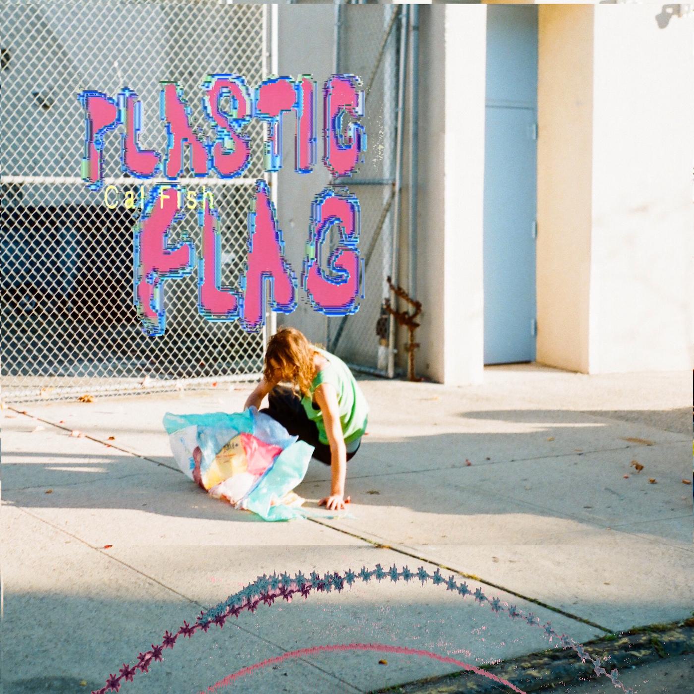 Cal Fish Plastic Flag