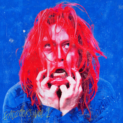 Caleb Landry Jones Gadzooks Vol. 1 - Record Album - Vinyl LP