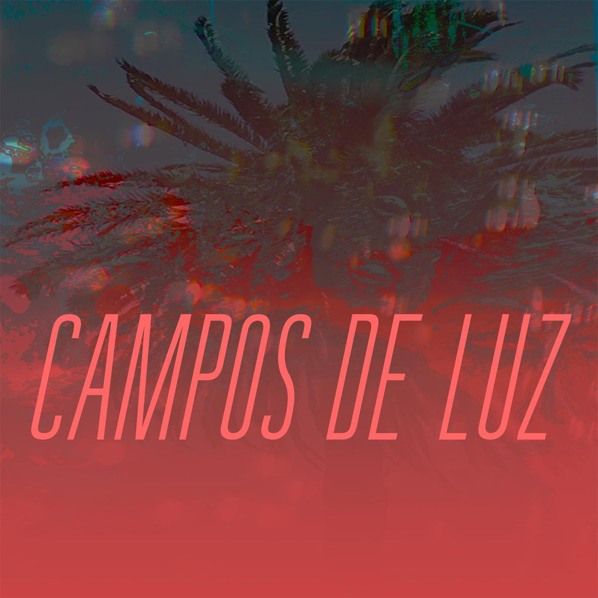 Campos de Luz Campos de Luz