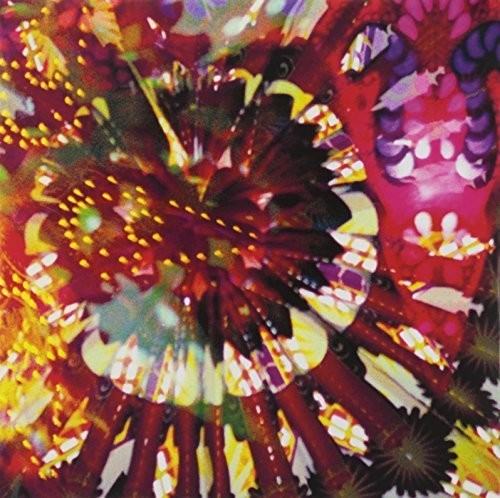 Caribou Vibration Ensemble Cve Live 2011 - Record Album - Vinyl LP