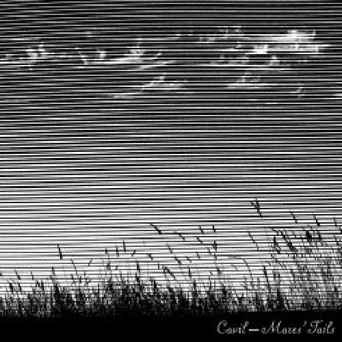 Cavil Mares Tails - Record Album - Vinyl LP