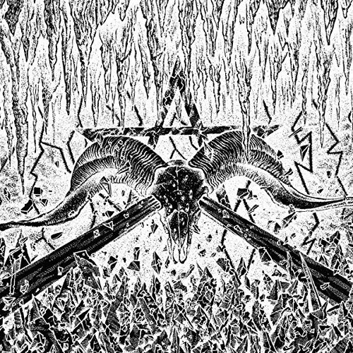 Celestial Bodies Spit Forth From Chaos (White Vinyl) - Record Album - Vinyl LP