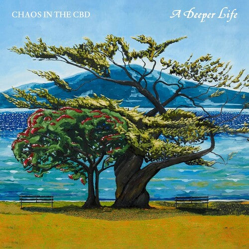 Chaos In The CBD A Deeper Life - Double Record Album - Vinyl LP