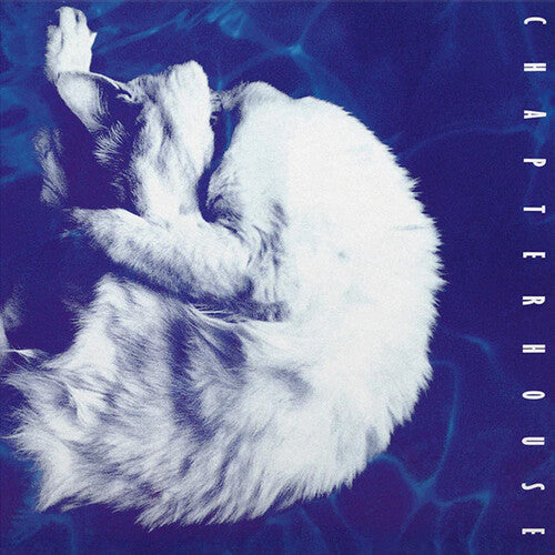Chapterhouse Whirlpool - Record Album - Vinyl LP