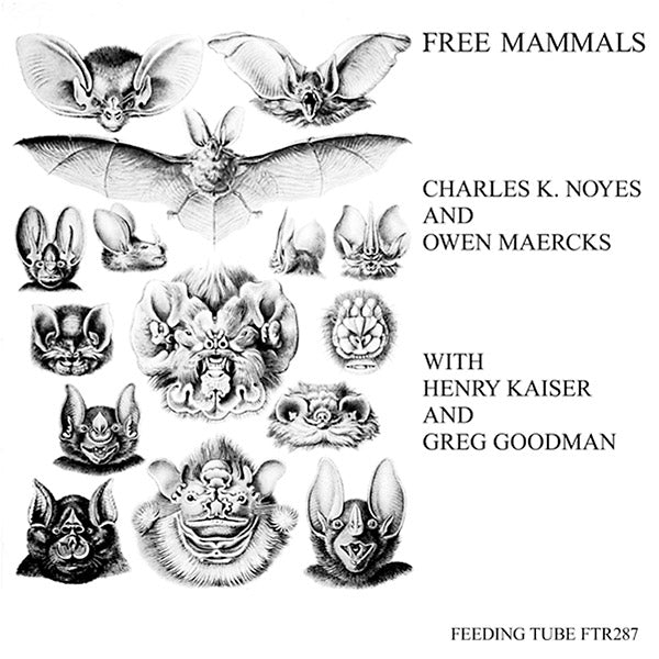 CHARLES K. NOYES AND OWEN MAERCKS WITH HENRY KAISE Free Mammals