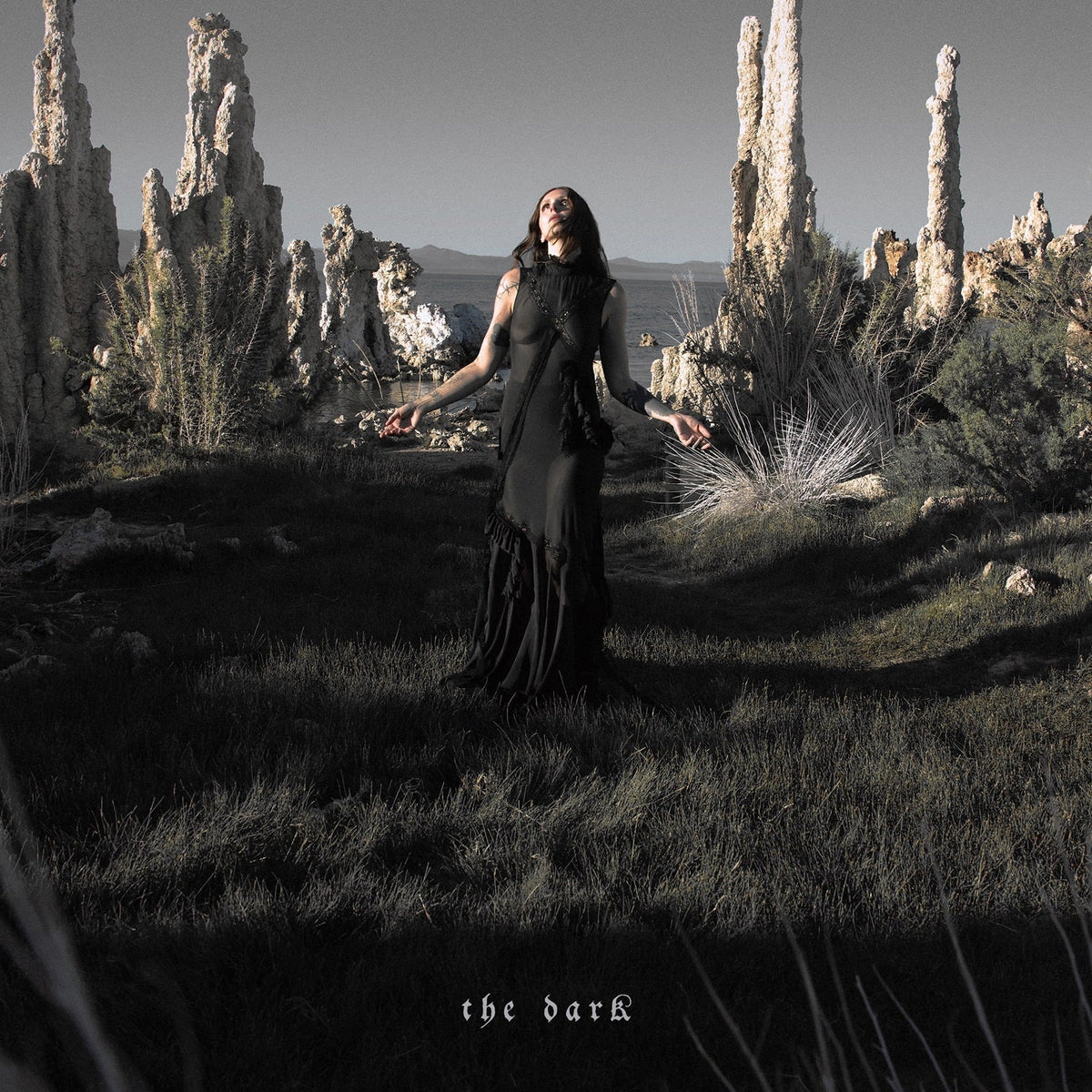 Chelsea Wolfe The Dark [LP]