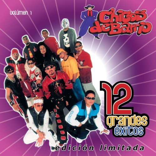 Chicos de Barrio Vol. 1-12 Grandes Exitos - CD Album