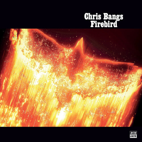 Chris Bangs Firebird - Record Album - Vinyl LP