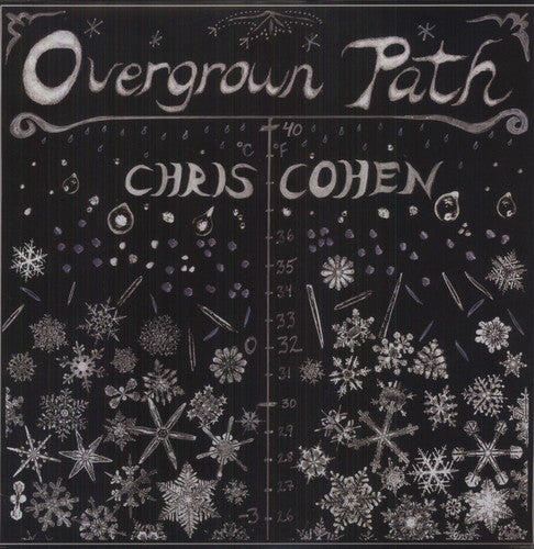 Chris Cohen Overgrown Path - Record Album - Vinyl LP