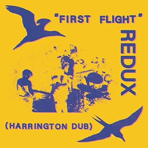 Chris Forsyth First Flight Redux (Harrington Dub) - Record Album - Vinyl LP