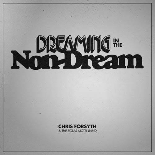 Chris Forsyth & the Solar Motel Band Dreaming In The Non-dream - Record Album - Vinyl LP