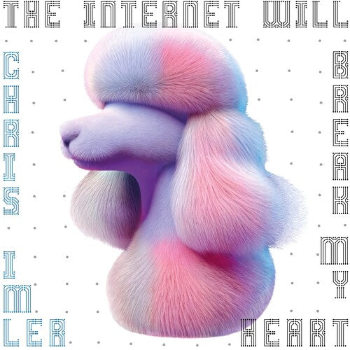 Chris Imler The Internet Will Break My Heart - Record Album - Vinyl LP