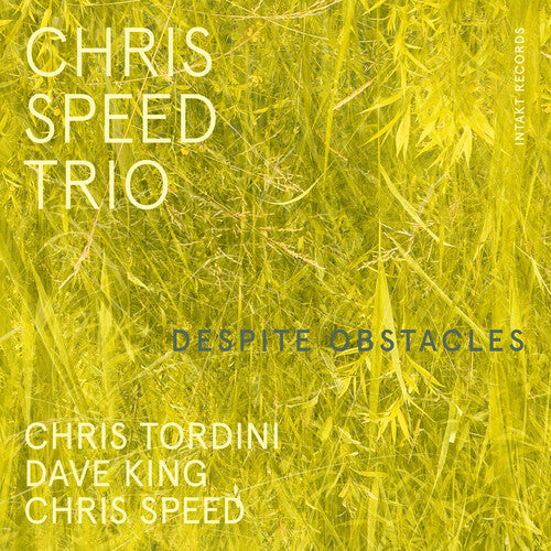 Chris Speed Trio Despite Obstacles - CD Album