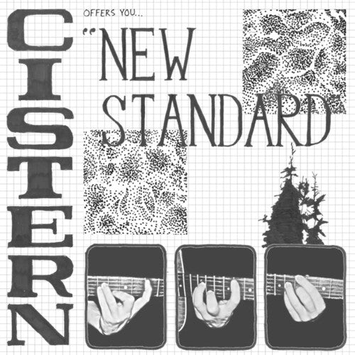 Cistern New Standard - Record Album - Vinyl LP
