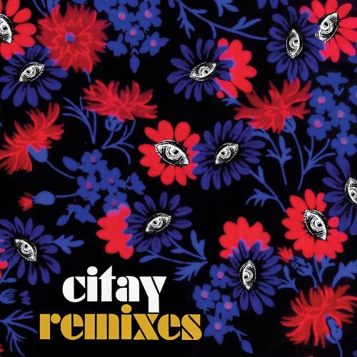 CITAY Remixes - Record Album - Vinyl LP