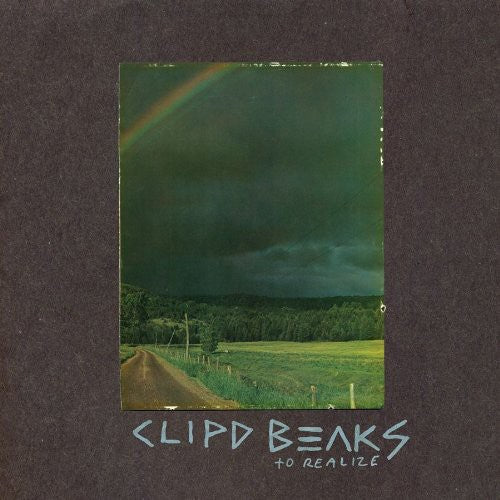 Clipd Beaks To Realize - Double Record Album - Vinyl LP