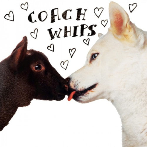 Coachwhips Bangers Vs. Fuckers - Record Album - Vinyl LP