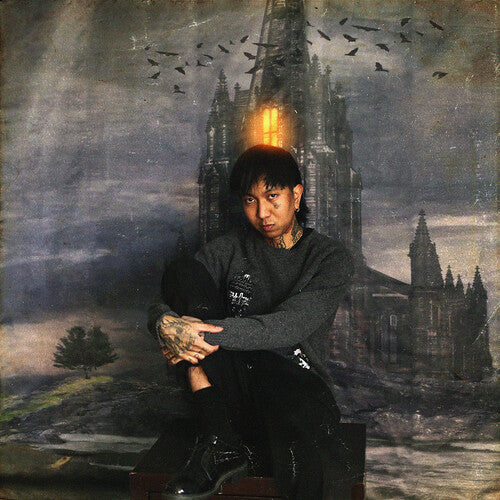Cold Hart Every Day Is A Day - Record Album - Vinyl LP