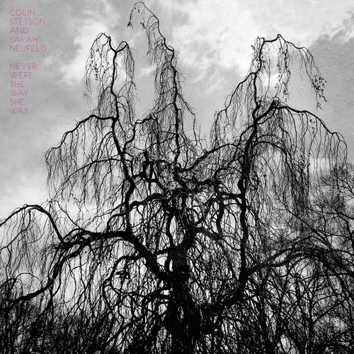 Colin Stetson Never Were the Way She Was - Record Album - Vinyl LP