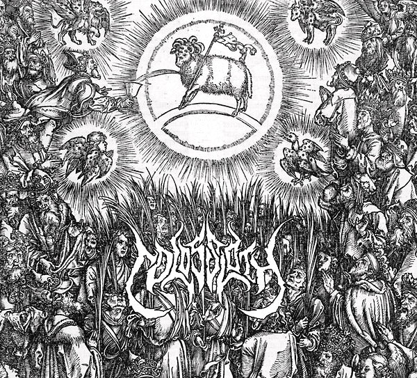 COLOSSLOTH Heathen Needles
