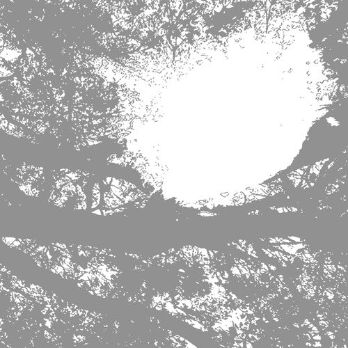 Comets On Fire Field Recordings from the Sun - Record Album - Vinyl LP
