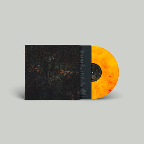 COMPRO ORO Estarantos - Record Album - Vinyl LP