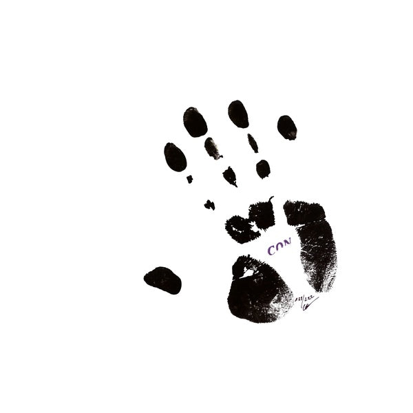 CONRAD SCHNITZLER Con 84