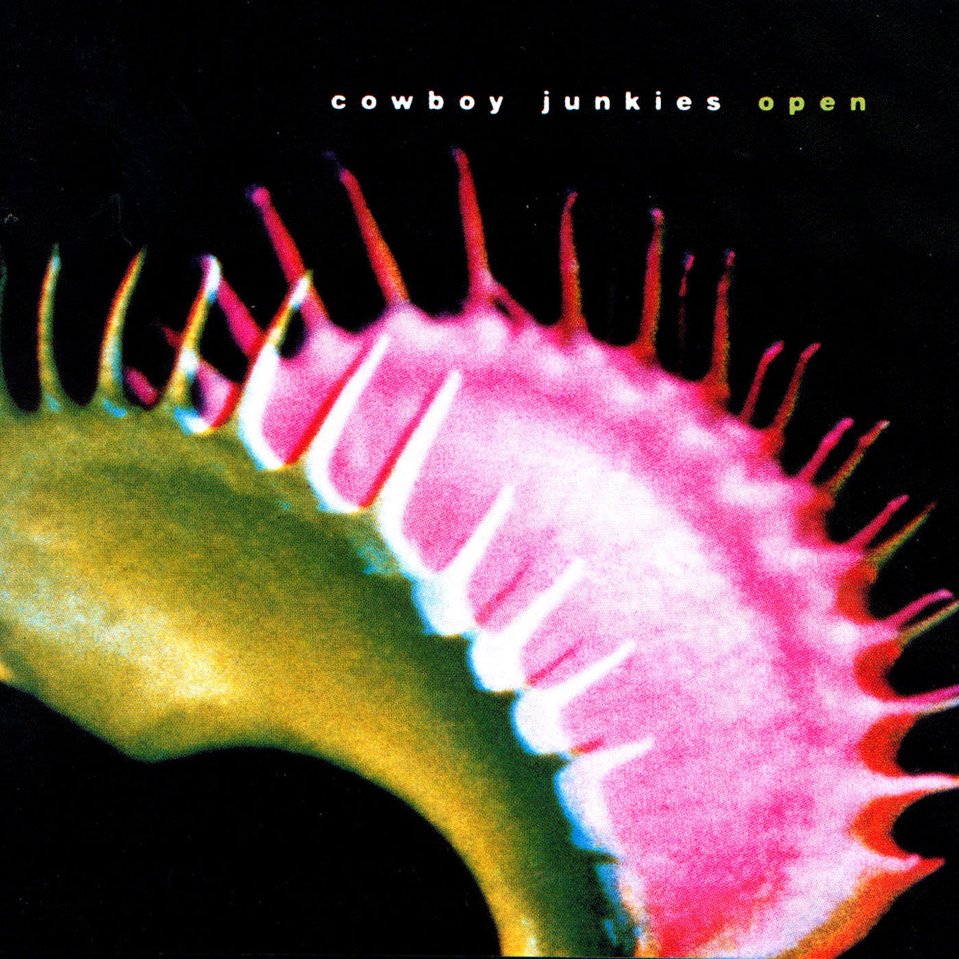 Cowboy Junkies Open