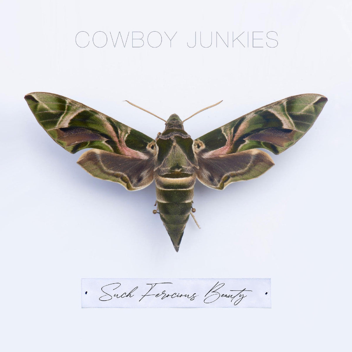 Cowboy Junkies Such Ferocious Beauty - Record Album - Vinyl LP