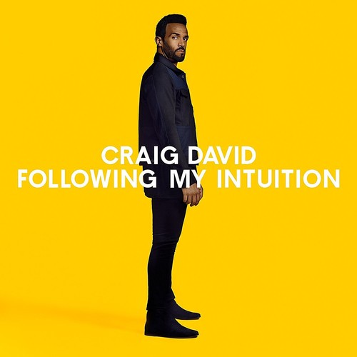 Craig David Following My Intuition - Triple Record Album - Vinyl LP