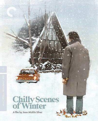 Criterion Collection Chilly Scenes of Winter (Criterion Collection) - Blu-Ray