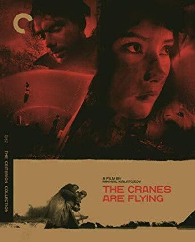 Criterion Collection The Cranes Are Flying (Criterion Collection) - Blu-Ray